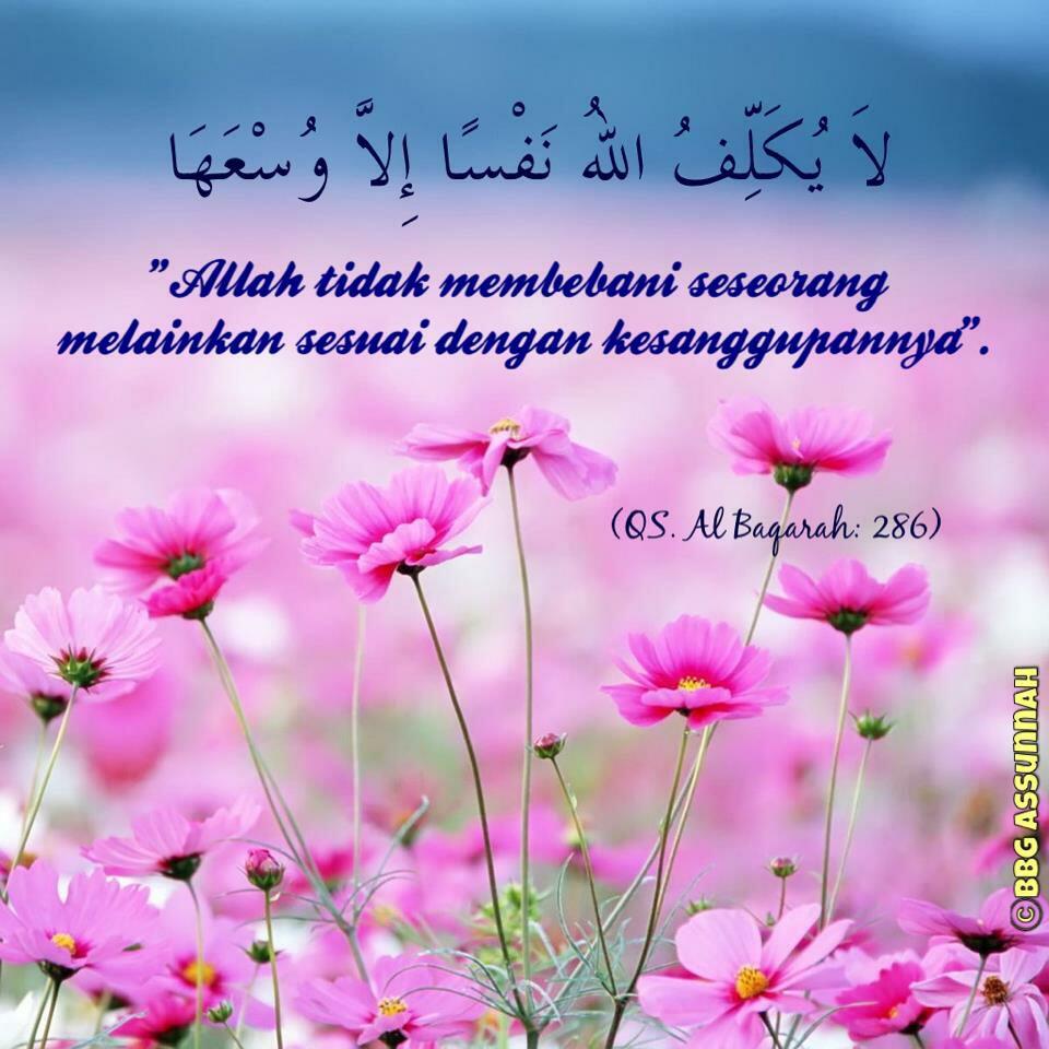 Poster Dakwah Ar Twitter Allah Tidak Membebani Seseorang Melainkan Dengan Kesanggupannya Http T Co A14zigputg Twitter