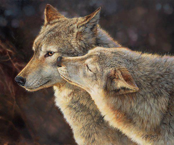 EL LOBO SOLITARIO
