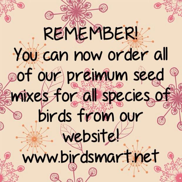 bird_smart's tweet photo. http://t.co/p303670Auk