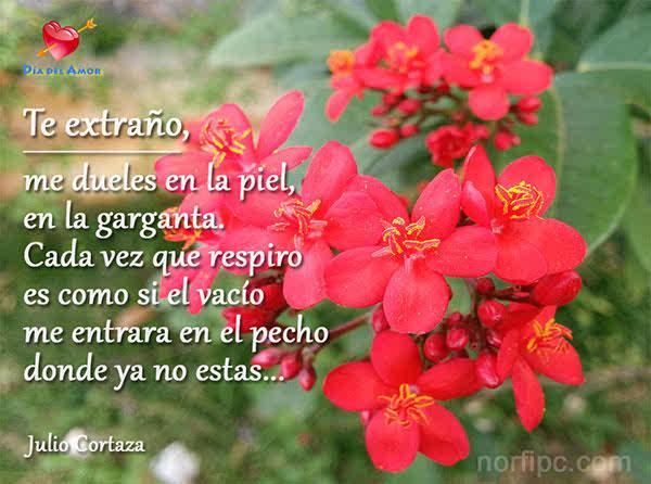 Antonio verenzuela (@antonioverenzu1) on Twitter photo 
