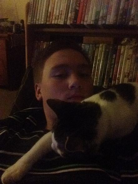 REAL_HackDaddy's tweet image. Sleepy cat