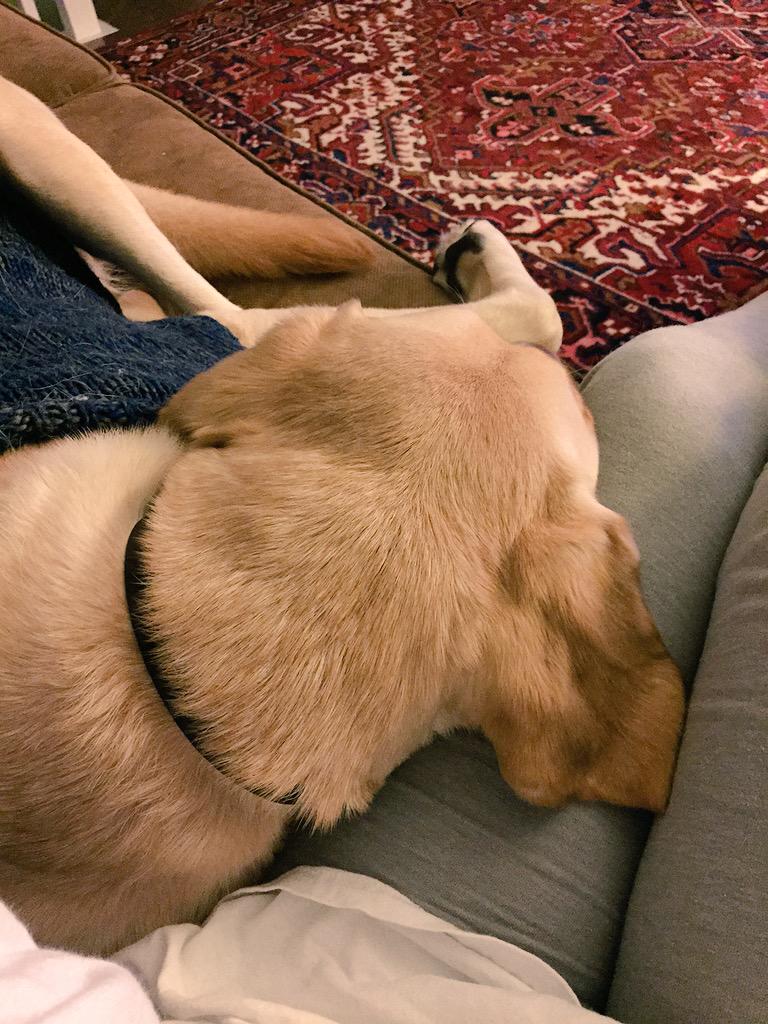 #PumpRules really excites him