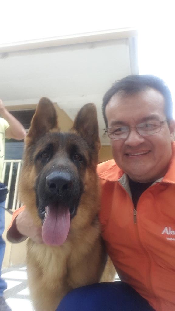 Carlinsuarez's tweet photo. Bienvenido mi Totti después de casi 3 meses de entrenamiento @pastoraleman_es @GermanSheperdss @GermanShephrds http://t.co/UFx04NjsQW