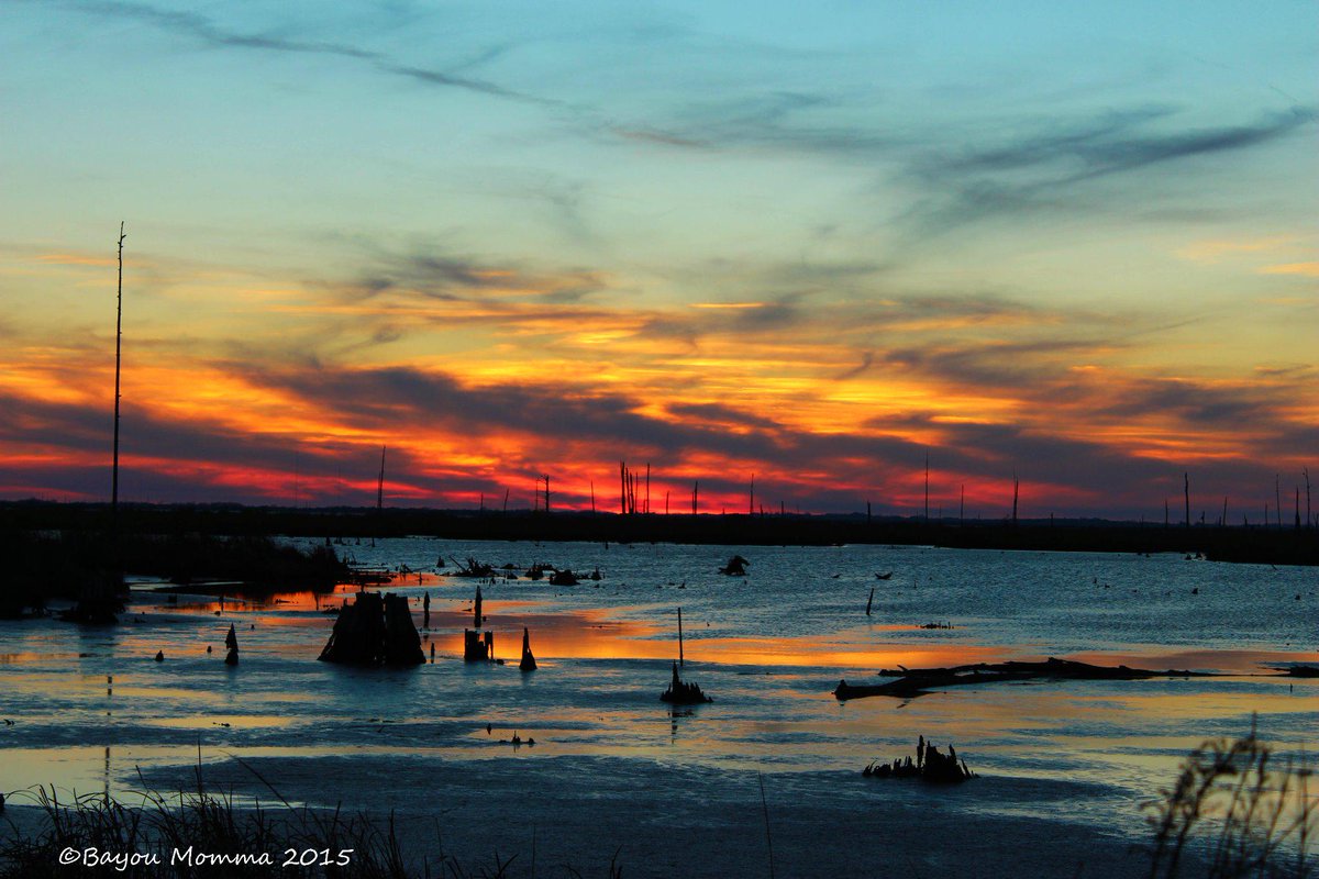 TerriGPhoto's tweet photo. Tonight sunset, Dulac La.@MargaretOrr @Ginger_Zee #OnlyLouisiana #BayouMommaRocks #DistributedChurch http://t.co/PodjjOqLuh
