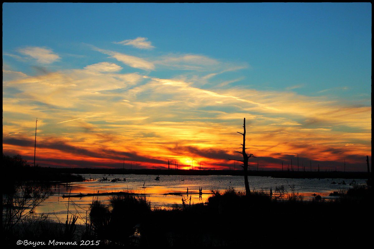 TerriGPhoto's tweet photo. Tonight sunset, Dulac La.@MargaretOrr @Ginger_Zee #OnlyLouisiana #BayouMommaRocks #DistributedChurch http://t.co/PodjjOqLuh