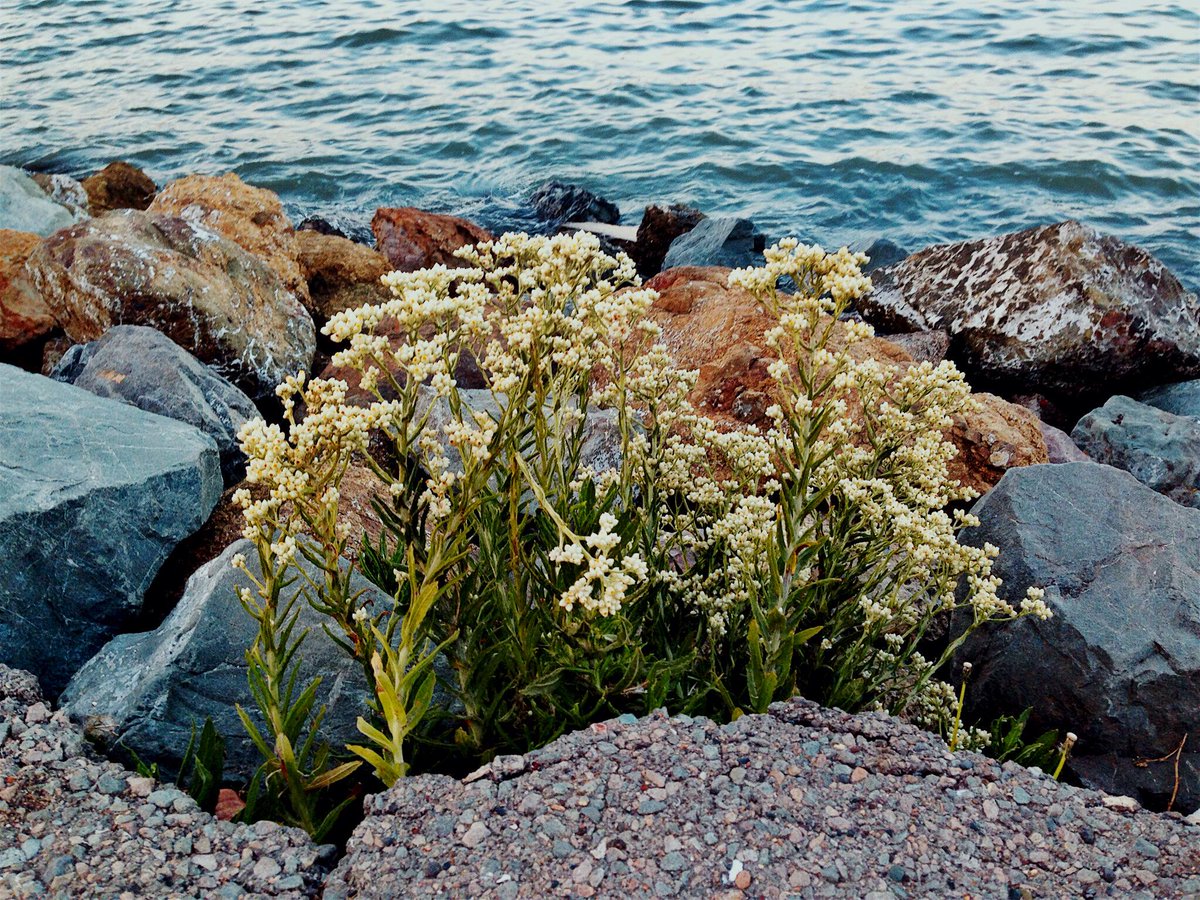 LightBoxr tweet media