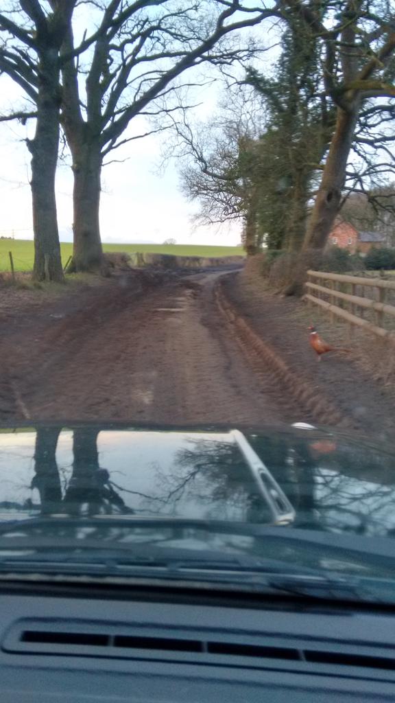 poppywitch's tweet image. @EnvAgency @jimallthetime result of movement of contaminated waste.  Is it right/legal #villageproblems #mess #ruyton