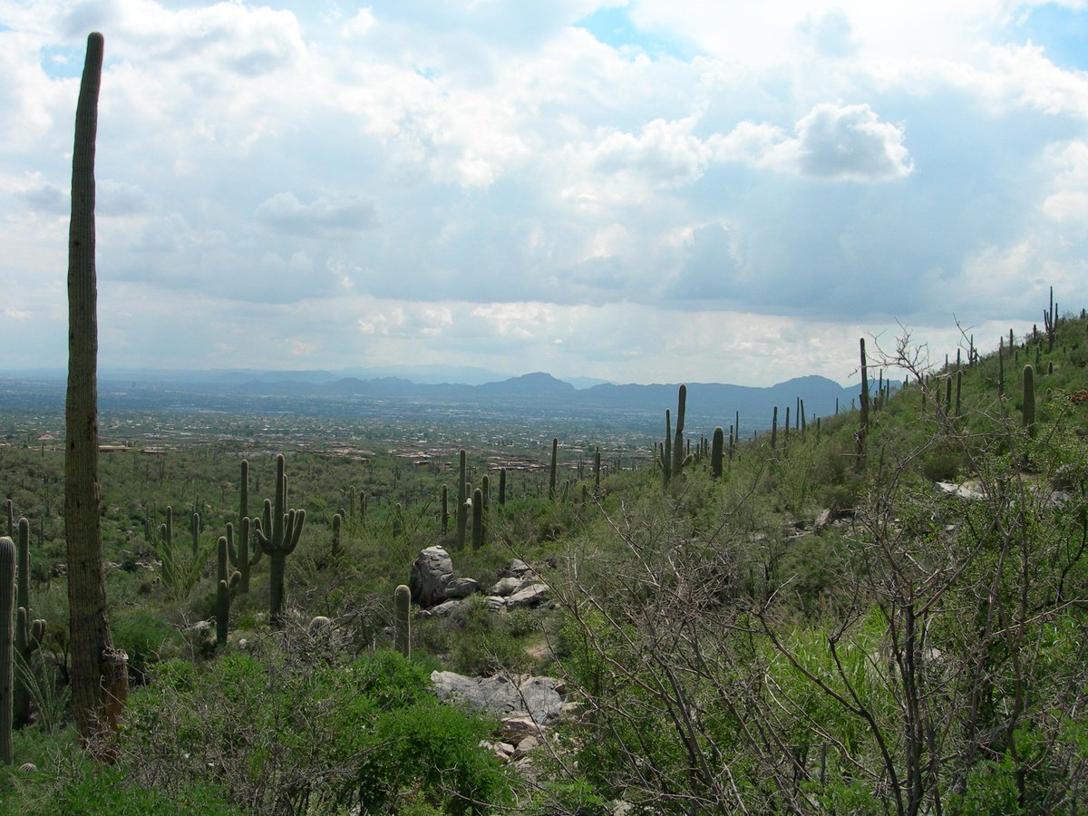 Bad4AZ's tweet image. #GOP border bill is about $ for military toys, not security or #CIR. ow.ly/HYKSi  #Bad4AZ @AZProgressives