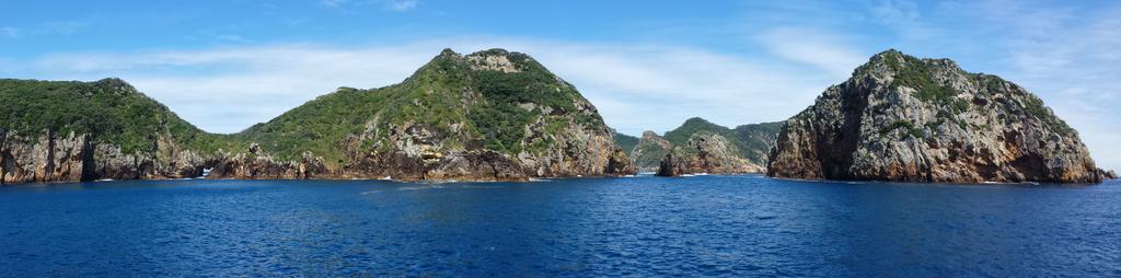 Stunning scenery today at #PoorKnightsIslands #Aorangi #TawhitiRahi #NgatiWai #NgatiToki
