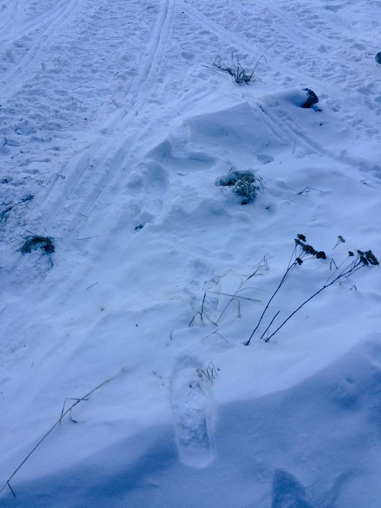nicolestites's tweet photo. Missing the snowπ’ #butnotthecold http://t.co/OoRxo0a6Ov