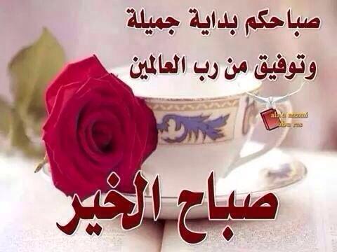 _QYSAR tweet picture