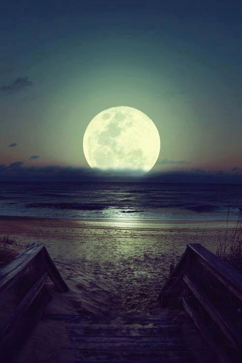 Gabrielen_HR's tweet photo. Aprende de la luna que aunque se encuentre siempre sola, nunca deja de brillar ♥ http://t.co/A44Kmaif4k