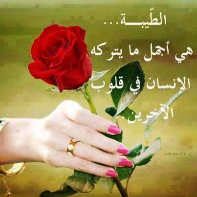 basharazim tweet picture