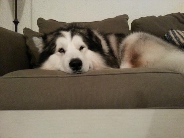 DosZiggster's tweet photo. #facebookdown. http://t.co/dzgmxVpi6s