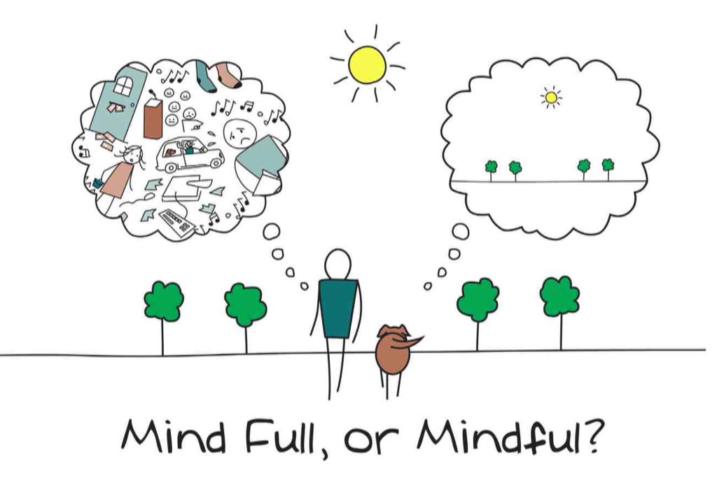 markwilliamson's tweet image. Mind full, or mindful?