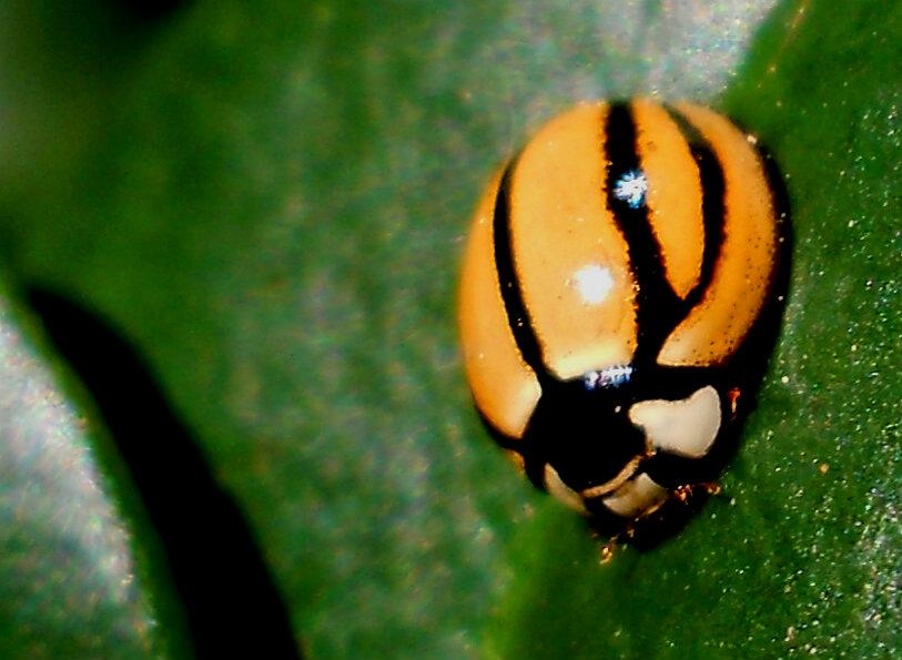 agents_sa's tweet image. 