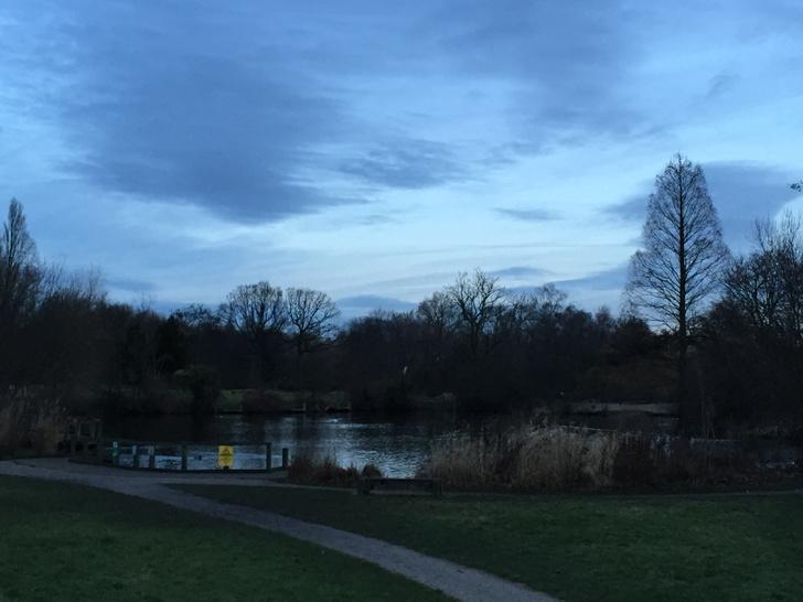 SaveWCommon's tweet image. Two contrasting options. The Common this morning....