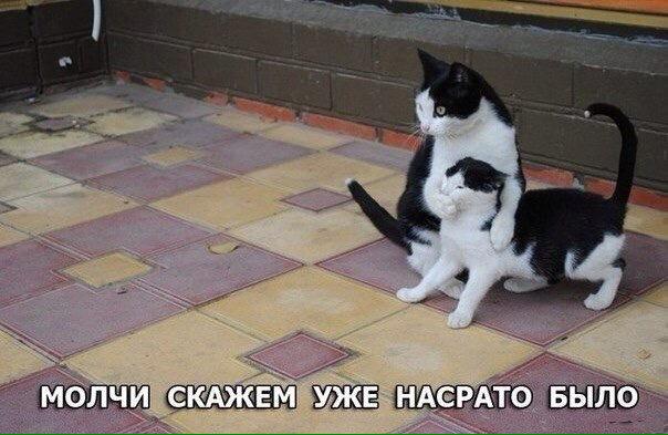 B8WBosfIQAEyvc8.jpg