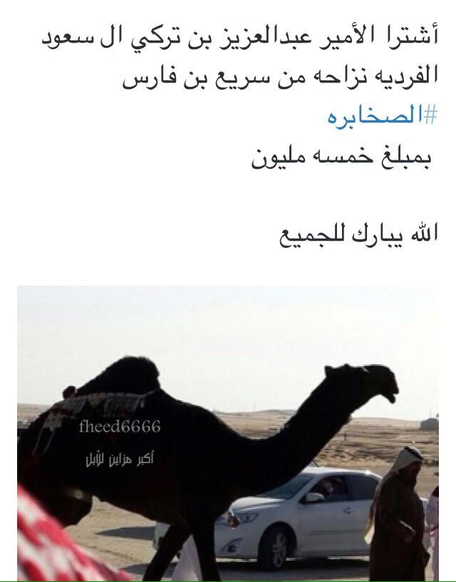 skbor1's tweet photo. http://t.co/r4mVgoHg5M