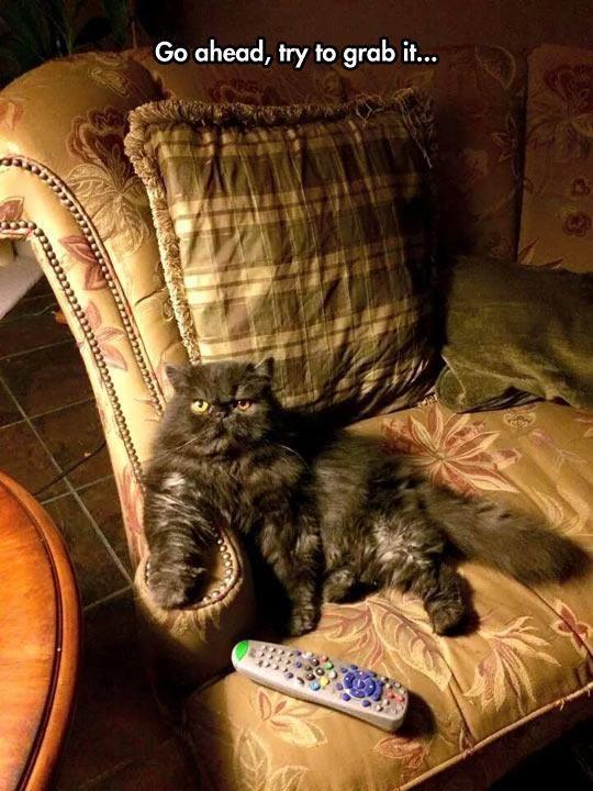 BenSteinTweets's tweet image. Couldn't resist