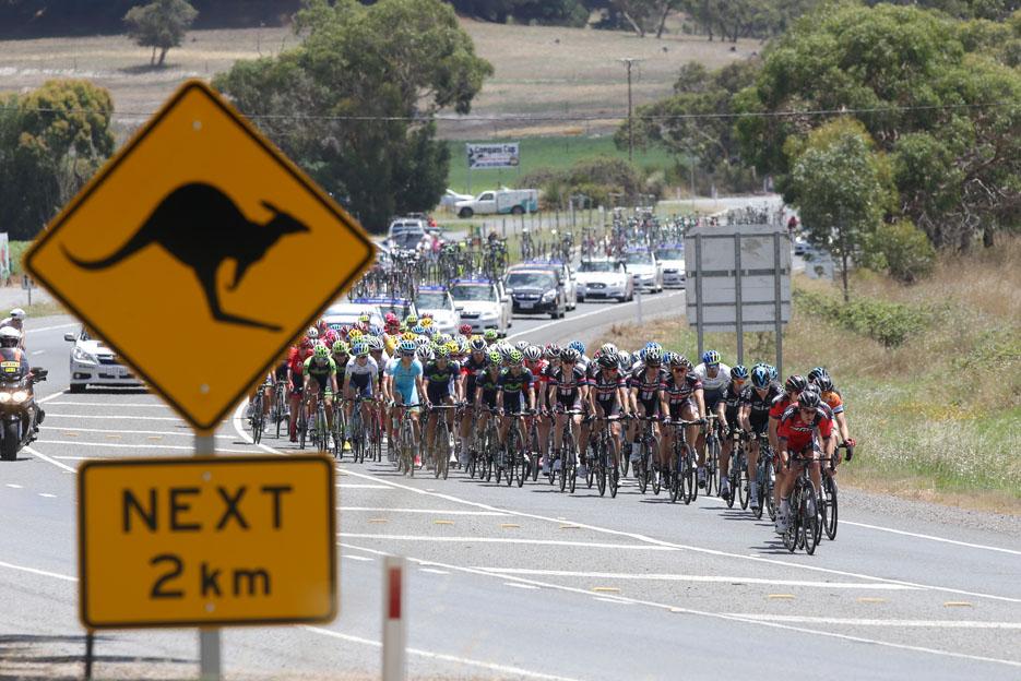 race_result's tweet image. See all pictures of the @tourdownunder, timed with race result #ActivePro, at tourdownunder.com.au/the-race/cover…