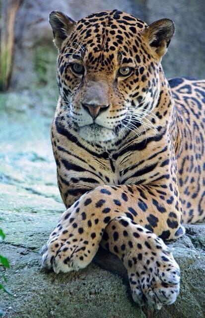 _Paisajes_'s tweet photo. Una autentica preciosidad. http://t.co/ljWUbMVE9i