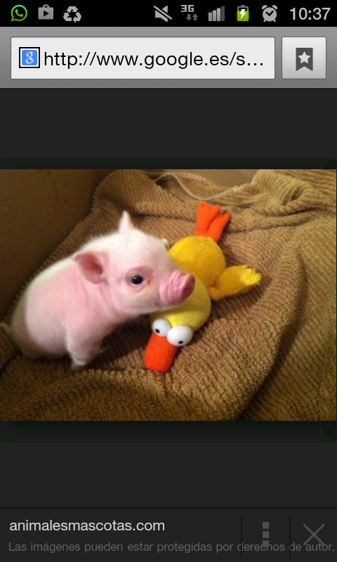 Gonzalo7OS's tweet photo. @Inmaculah Muchoo animo para estudiaar!! Te va a salir todo genial guapa. Motivation MODE ON http://t.co/6a234Kstoc