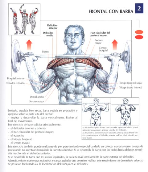 JUEGOSPS345's tweet photo. Ejercicios principales de hombros http://t.co/zeLlixEi6Z