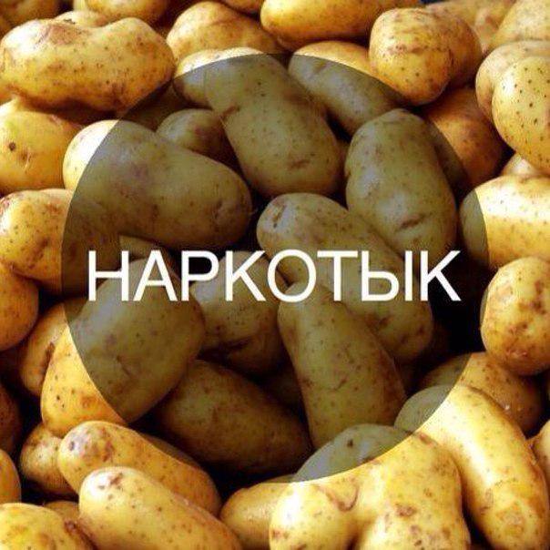 postimby's tweet photo. Белорусские наркотики) http://t.co/y6ZVlpK6pj