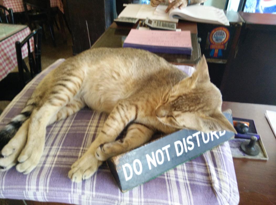 SkWip's tweet image. #Brittania ..gorged on the #BombilFry while making sure I followed this sign to the T !!