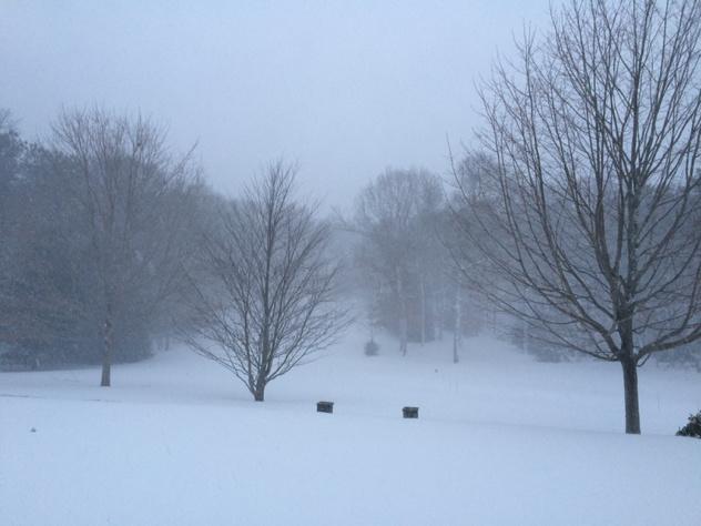 arapo's tweet image. First look in Marstons Mills. Heavy snow and serious 60+mph wind. #juno #blizzard2015