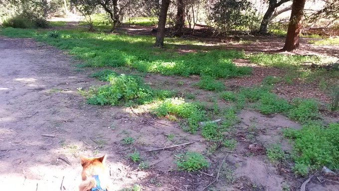 Checking out old haunts with Molly http://t.co/u2paCQ3ukB<a href="/tag/mvsales"class="tags"><span>#mvsales</span></a>