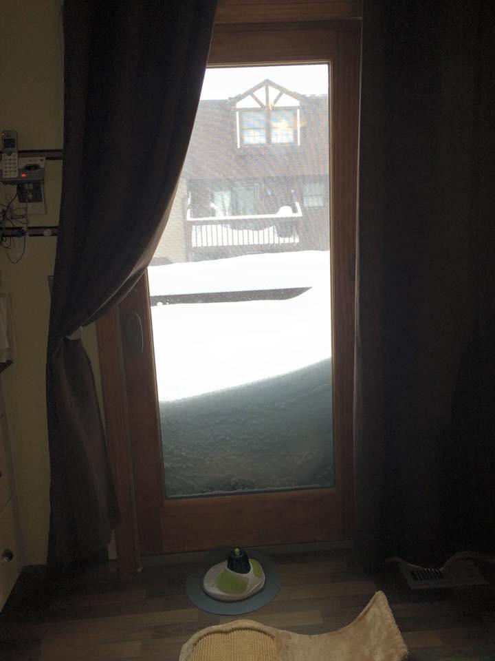 nosnow64's tweet photo. My. Daughter's back porch in North Chelsmford, Mass. about 11AM today http://t.co/dO5oikyedQ