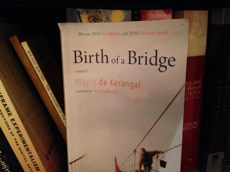 aniadymarz's tweet photo. currently reading #SFUshelfies http://t.co/OcATh1piPu