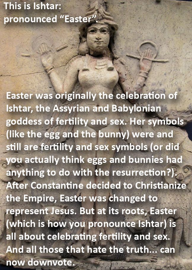 WakeupPeopIe's tweet photo. This is why eggs and bunnies are symbols of Easter. http://t.co/yApAJAbCcU