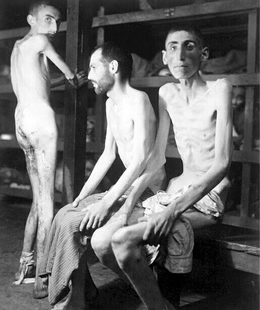 HistoryFotos's tweet photo. Así es la peor versión de la crueldad humana. #Auschwitz70. http://t.co/jmhVvAeGmX