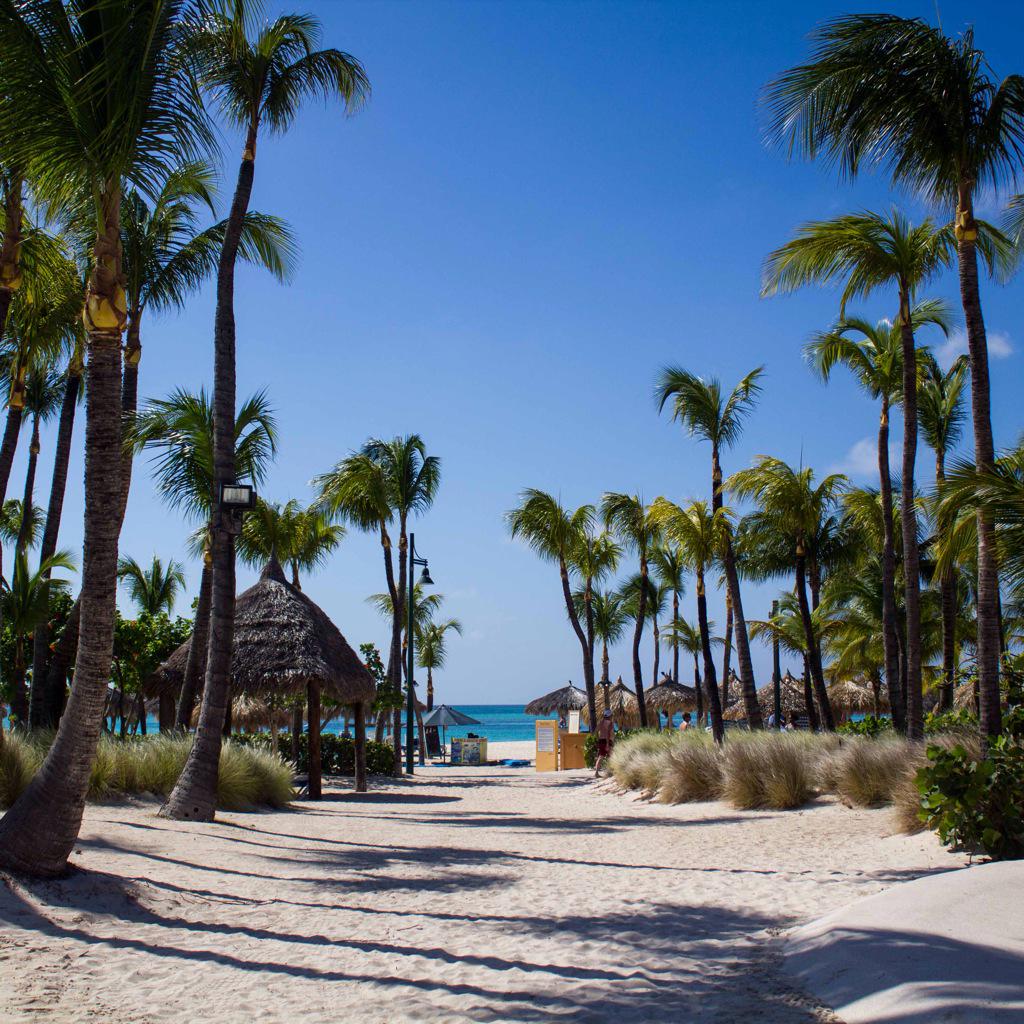 FakinoTur's tweet photo. Conoce los precios del Radisson Aruba en http://t.co/zam0h00to8 para el 2015, compras en las oficinas de Fakino. http://t.co/gTZAAdIXWO