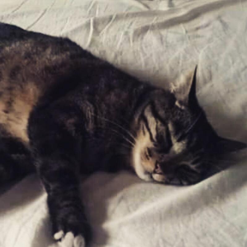 Luna love ♥♥♡♥