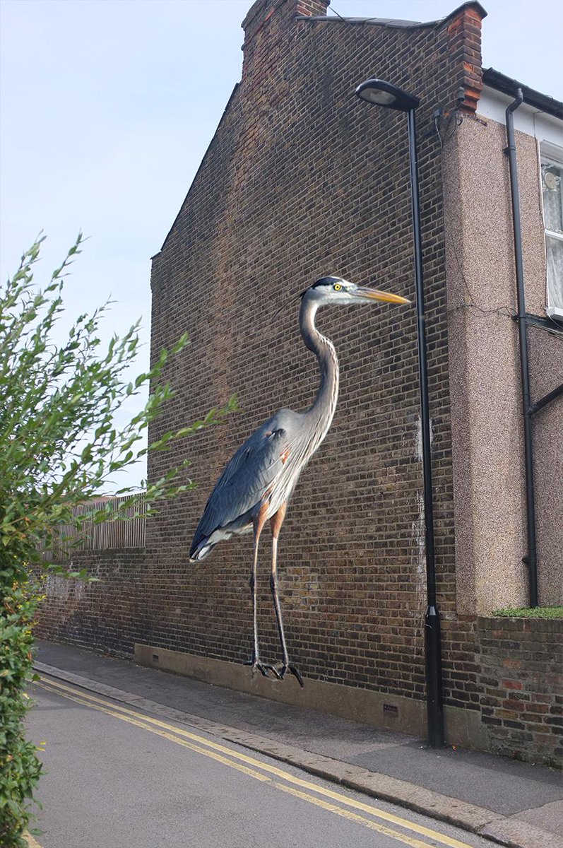 TurnpikeArt's tweet photo. Help a street art project https://t.co/YpV25vagUE @thebenoakley @LDNGraffiti @tottenhamarts @spacehive @TottJournal http://t.co/wKd7NrnmVL