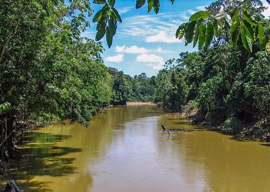 #Yasuni #Amazon #AllYouNeedIsEcuador #SB49 <a href="/TurismoEc/">Viceministerio de Turismo Ecuador 🇪🇨</a> <a href="/makecuador/">makecuador</a> <a href="/AllYouNeedisEC/">All you need is Ecuador</a> <a href="/PROGRAMALATV/">LA TELEVISIÓN</a> #nature