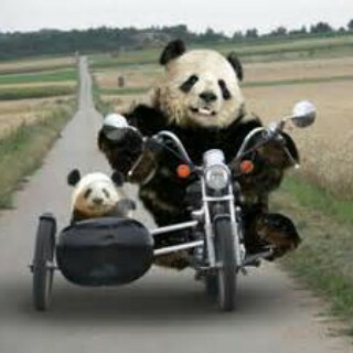 ekhatyo5's tweet photo. http://t.co/StRqnNxRTc