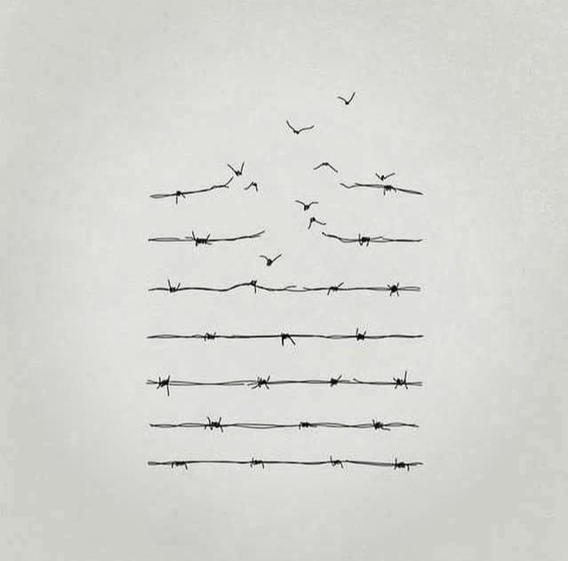 RitucciaE's tweet photo. #pernondimenticare #GiornoMemoria #27gennaio1945 http://t.co/LFRnR75BsU