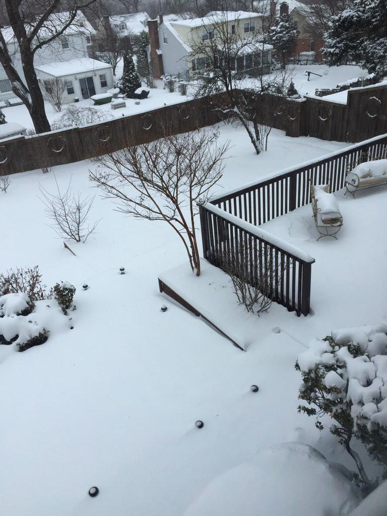 A_Toribio10's tweet photo. #snowonfox  @MyFoxNY backyard in Yonkers NY http://t.co/d3oPTLFdr9