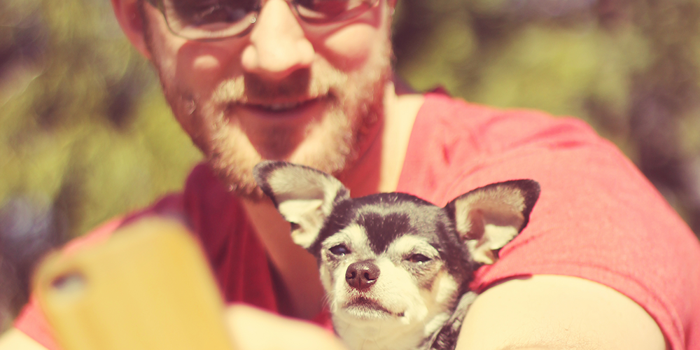 JustTextGiving's tweet photo. Nominate 4 friends for @DementiaDog’s selfie challenge & tag your pooch pics with #Alex4Paws. Text BARK04 £4 to 70070 http://t.co/2EF1h2Q8ri