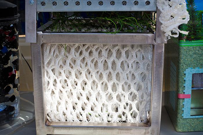 EmoryUniversity's tweet photo. #Emory's new WaterHub engages the power of nature to clean &amp; recycle wastewater @EmoryGreen http://t.co/Zrdulq17Ku http://t.co/GBvZkOmfDT