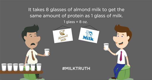 lfromm's tweet photo. For protein, not all milks are =. Real milk: 8g/8oz vs almond milk: 1g (client) http://t.co/CMLbPSfKgA #MilkTruth http://t.co/j1x8Kvm7t2