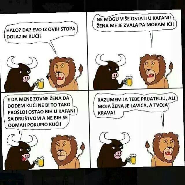 Zdravo cao Ćao zdravo