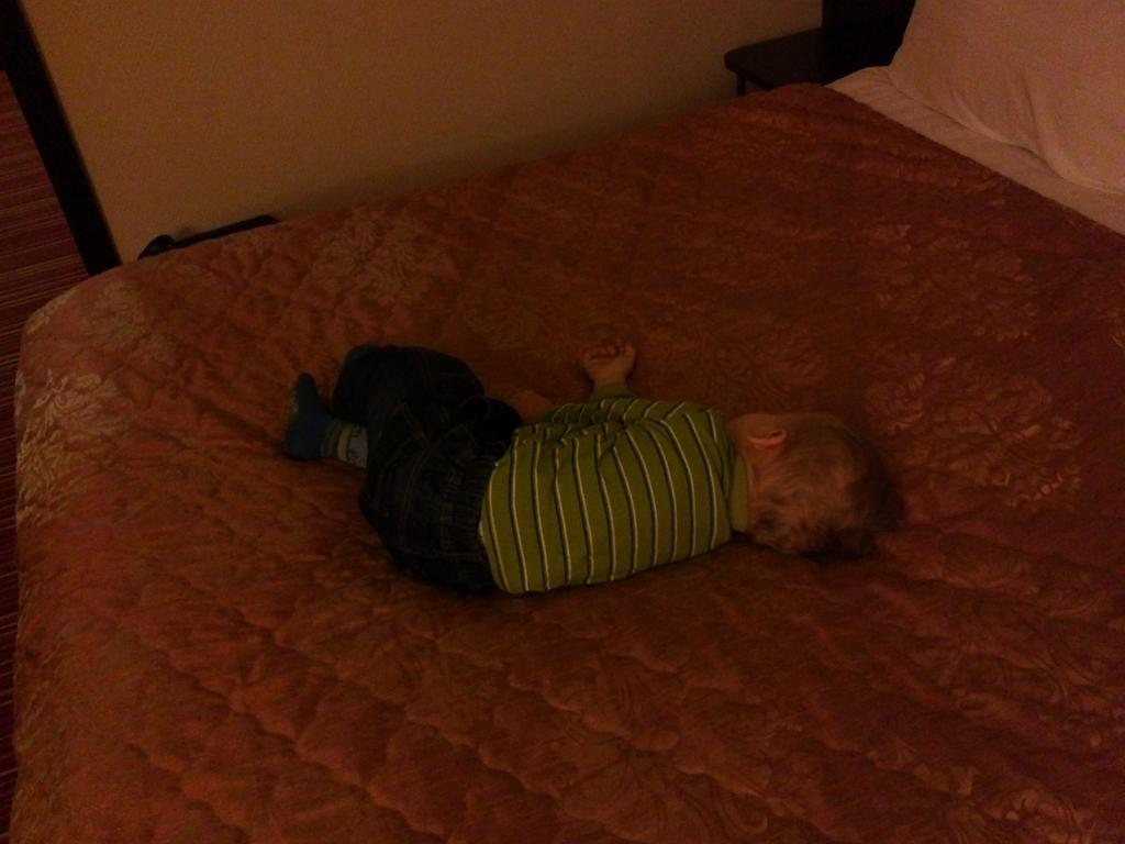 gress_ev's tweet image. Макс уработался и спит. Восемь часов в самолете прыгать, это тяжело!