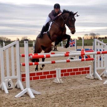 ParkfieldBreed's tweet photo. **FOR SALE** Francoe PFB. 5YO 16.2 gelding. Qual BYEH &amp; YH finals 2014. 6th @ BYEH final. Fit &amp; ready PN/GR pls RT http://t.co/n57fwCLpRy