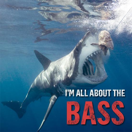 Shark Week tweet media